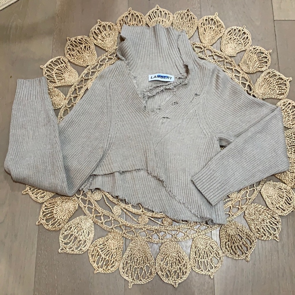 Unique distressed Crop top sweater